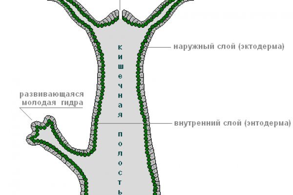 Кракен ссылка kra