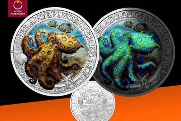 Kraken dark net